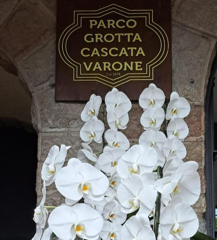 Appartamento Peace&Lake Riva del Garda Kültér fotó